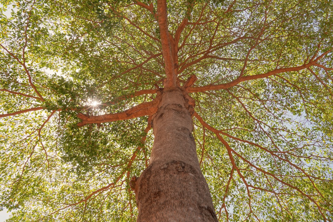 Bodeninnovationen 2026: Zukunftstrends im nachhaltigen Bauwesen