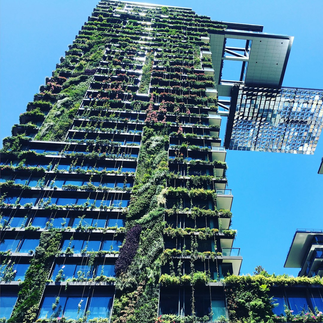 Australiens Umweltprobleme: Greenwashing und Greenhushing unter der Lupe